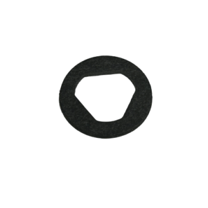Spark Control Valve Gasket